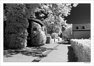 Uber Exif Photo
