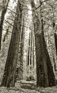 Uber Exif Photo