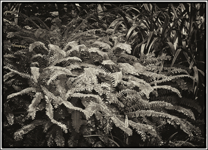 Uber Exif Photo