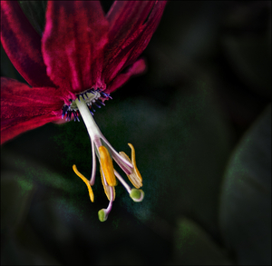 Uber Exif Photo