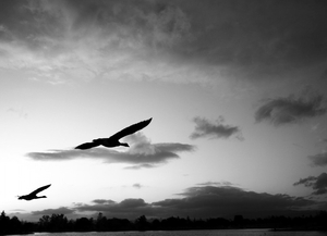 Uber Exif Photo