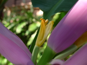 Uber Exif Photo