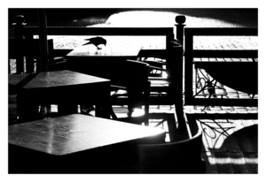 Uber Exif Photo