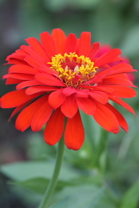 Uber Exif Photo