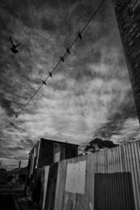 Uber Exif Photo