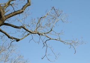 Uber Exif Photo