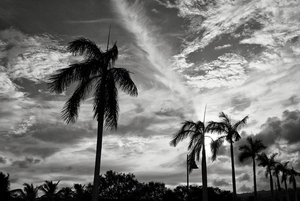 Uber Exif Photo