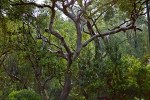 Uber Exif Photo