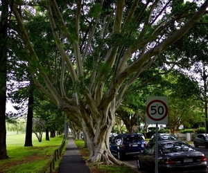 Uber Exif Photo
