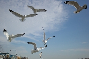 Uber Exif Photo