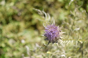 Uber Exif Photo