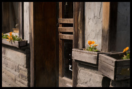 Uber Exif Photo