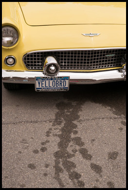 Uber Exif Photo