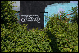 Uber Exif Photo