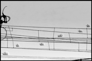 Uber Exif Photo
