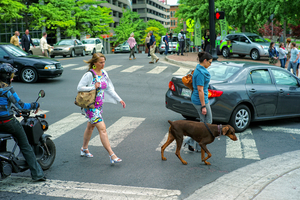 Uber Exif Photo