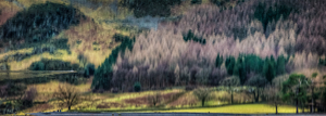 Uber Exif Photo