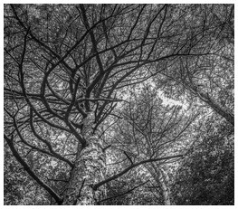 Uber Exif Photo