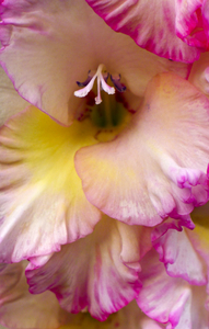 Uber Exif Photo