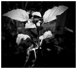 Uber Exif Photo