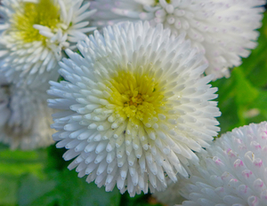 Uber Exif Photo