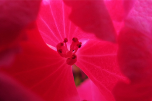 Uber Exif Photo