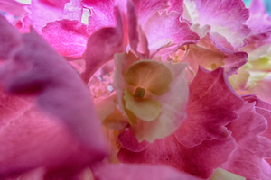 Uber Exif Photo