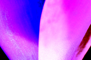 Uber Exif Photo