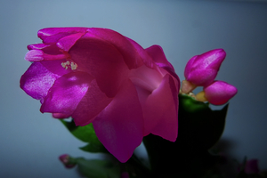 Uber Exif Photo