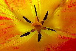 Uber Exif Photo