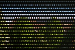 Uber Exif Photo