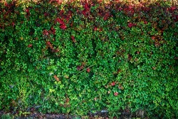 Uber Exif Photo