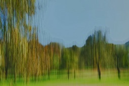 Uber Exif Photo