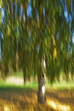 Uber Exif Photo