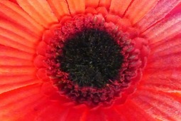 Uber Exif Photo