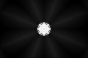 Uber Exif Photo