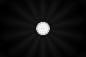Uber Exif Photo