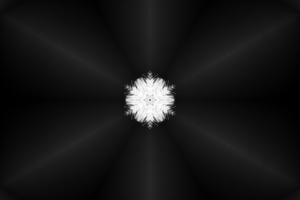Uber Exif Photo