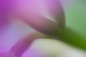 Uber Exif Photo