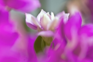 Uber Exif Photo
