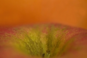 Uber Exif Photo