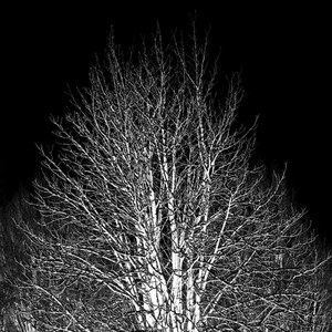 Uber Exif Photo