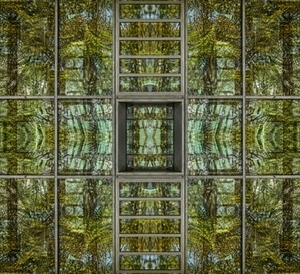 Uber Exif Photo
