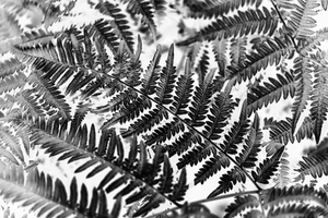 Uber Exif Photo
