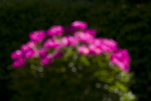 Uber Exif Photo