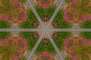 Uber Exif Photo