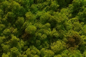 Uber Exif Photo