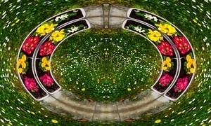 Uber Exif Photo
