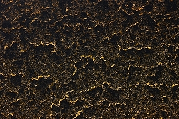 Uber Exif Photo