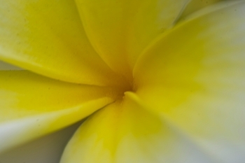 Uber Exif Photo